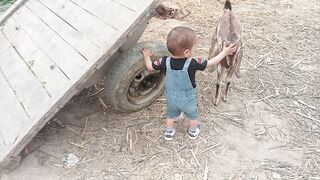 Cute Baby status video Love ????????????