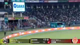 Amazing shots