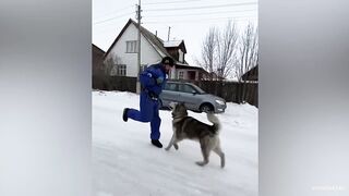 Funny Animals 2023 That Will Keep You Laughing For Hours????Funniest Animals Videos