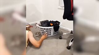 Funniest Cats and Dogs Videos ???? Best of Funny Animal Videos - 2023 #2