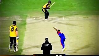 Cricket