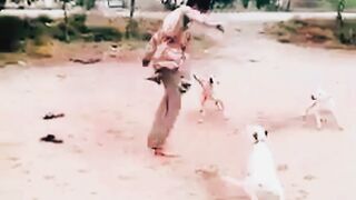 THERE DOG ON ONE MAN????