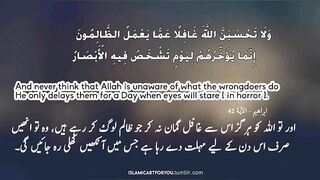 Beautiful Qur'an verses in beautiful voice