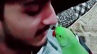 Talking parrot amazing video
