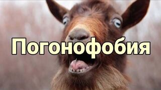 Погонофобия - это что, боязнь погонов что ли?