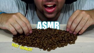ASMR VERY CRUNCHY CAT FOOD | EATING SOUND (NO TALKING) ???? BEST SOUND