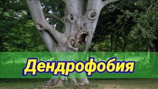 Дендрофобия