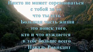 цитата дня