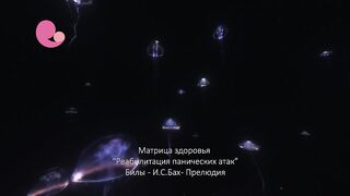 Реабилитация панических атак - матрица здоровья. Билы