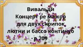 Вивальди Концерт ре мажор для двух скрипок, лютни и бассо континуо, P. 209