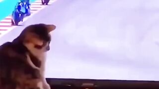 we-all-love-he