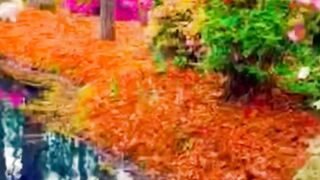 Яркие краски природы