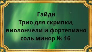 Гайдн Трио для скрипки, виолончели и фортепиано соль минор № 16