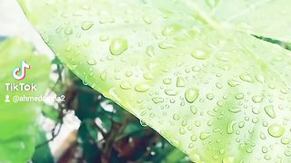 Rainy time