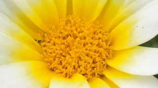fromNature032.