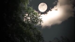 Full moon view