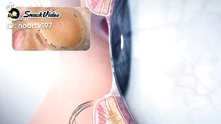 Veriy_best_shorts_vedeo_
