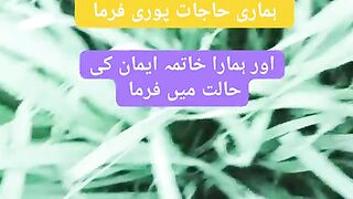 QamarTv