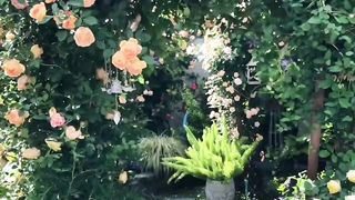 Beautiful video