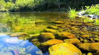 Natureza ❤️