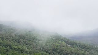 Kintamani