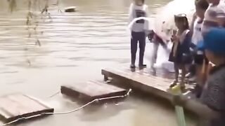Vidéo drôle