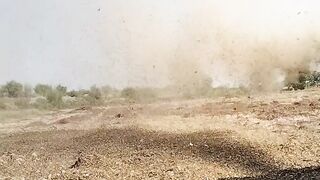 harvester crops in mianwali punjab pakistan
