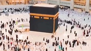 Mulna Tariq Jameel