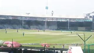 Cricket
