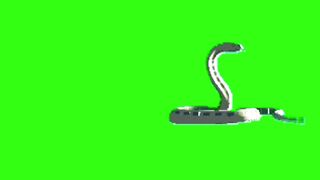 Pakistani farmer character green video /no copyright for free download