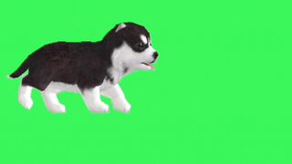 Pakistani farmer character green video /no copyright for free download