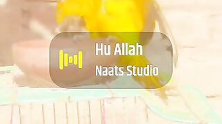 Pakistan video