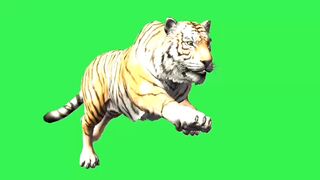 Pakistani farmer character green video /no copyright for free download