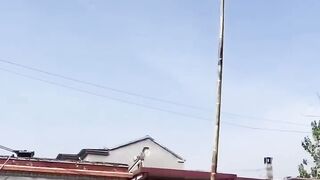 Incredible and perfect video