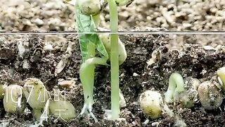 agriculture technology | agriculture technology projects | digital farming project