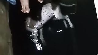 Dog found inside drinking water tank.