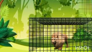 LION MAN AND FOX STORY