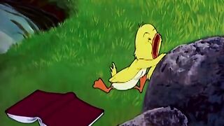 Duck baby