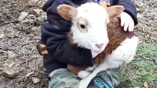So Cute !