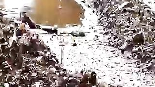 #Nest Building of Engineer Bird_Rufous Hornero Nest Building#9947Asim#