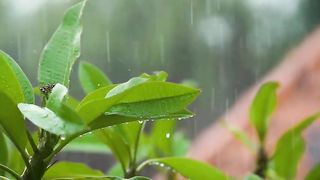 beautiful rain