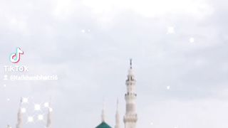 My tiktok vedio