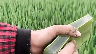 29 Alavera plant hacks