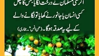 quotes channel