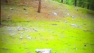 Rama meadows astore valley