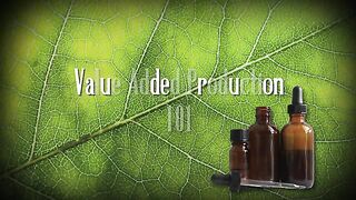 Tincture Preparation at MUIH. Homoeopathic Medicine