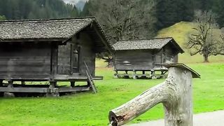 Dogs to Switzerland ???????? ???? amazing video
