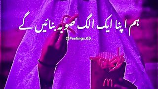 Single log haziri lagaye