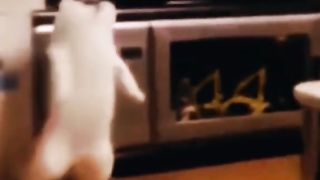 Horror videos that capture on camera