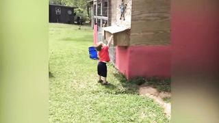Funniest baby moment with animals